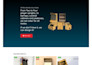create or rebuild a professional wordpress website
